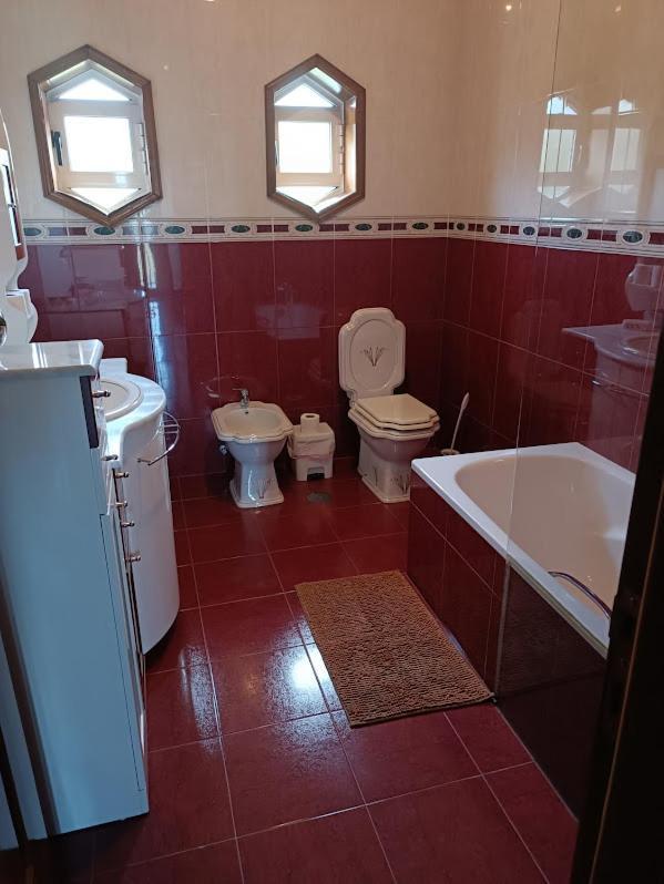 Abrigo Das Andorinhas Aveiro Luaran gambar